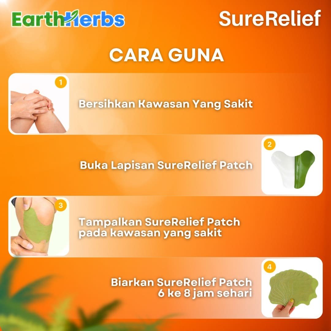 Cara Penggunaan